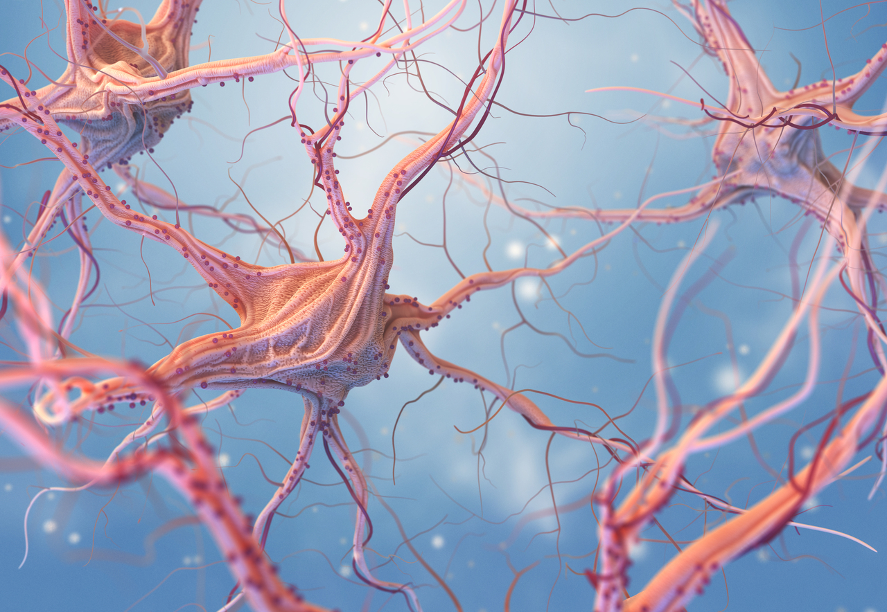 neurons-and-nervous-system